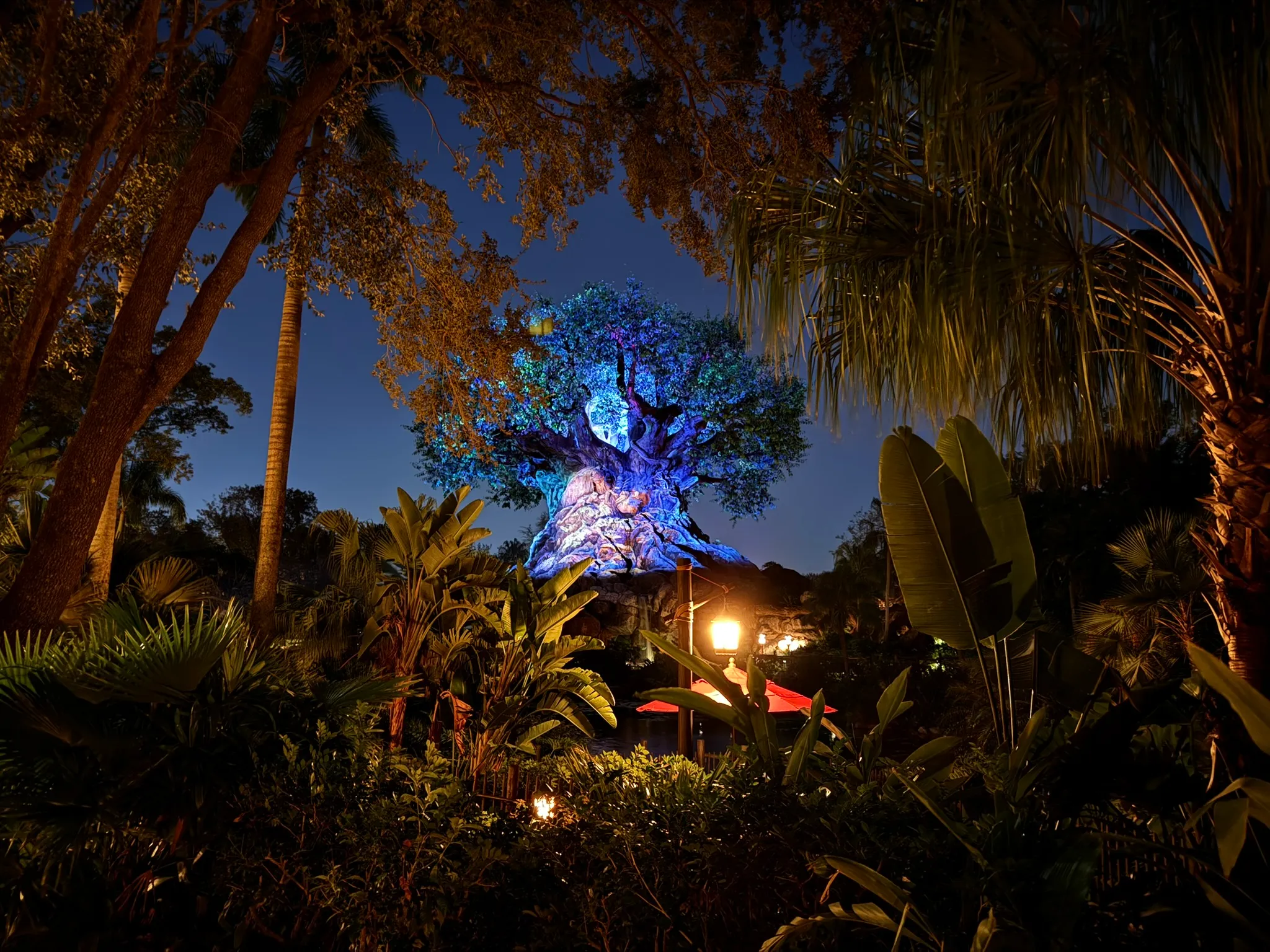 The Tree of Life in Disney's Animal Kingdom Theme Park
