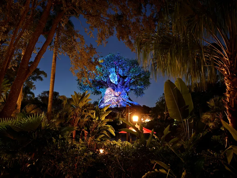 The Tree of Life in Disney's Animal Kingdom Theme Park