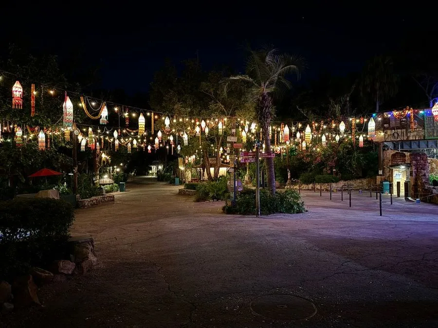 Disney Extended Hours at Animal Kingdom