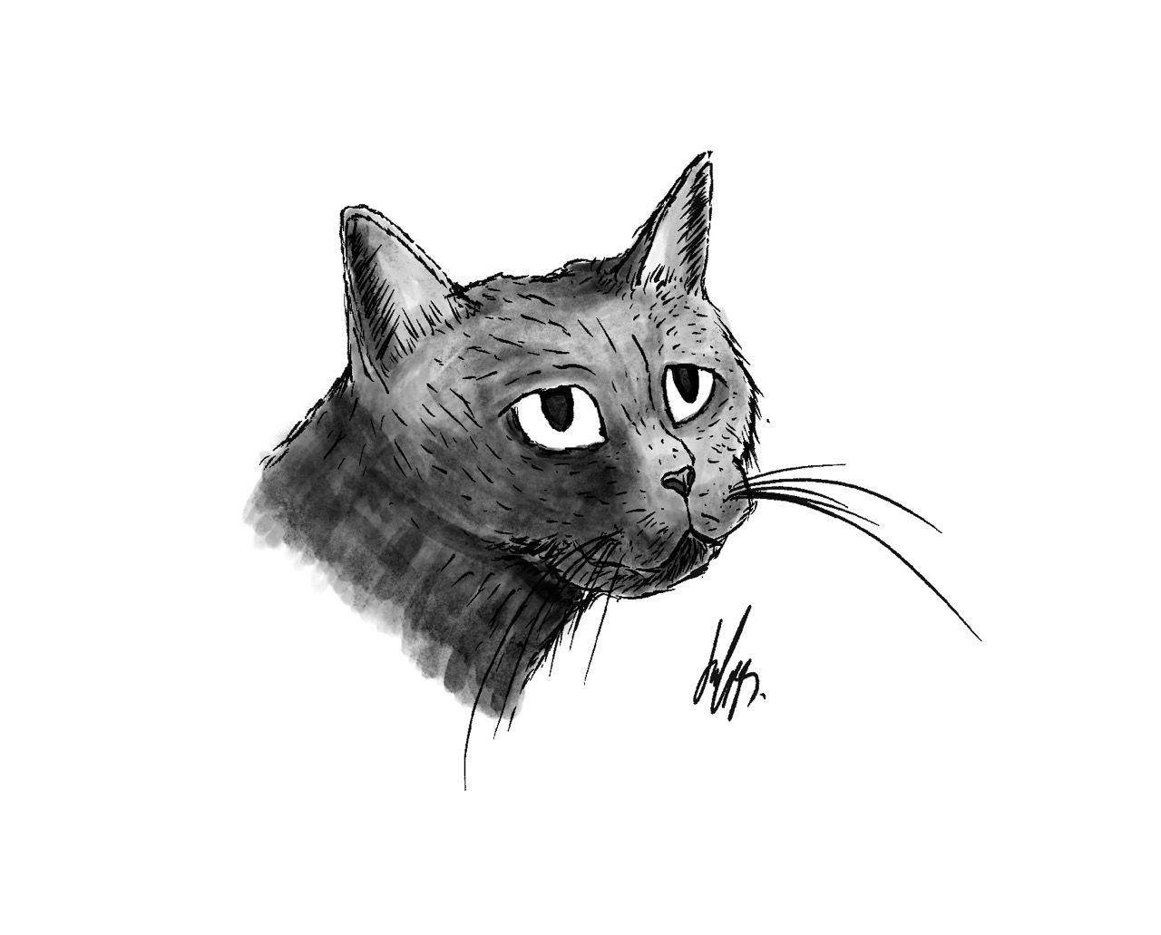 Illustration of a cat in black and white