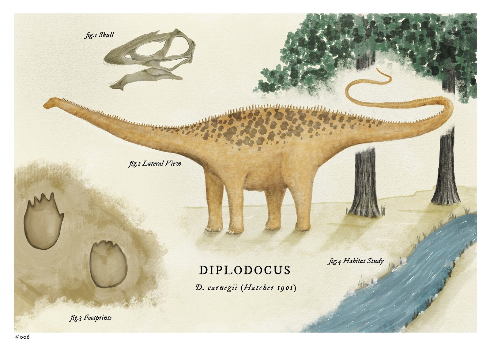 Illustration of a diplodocus in Victorian museum style.
